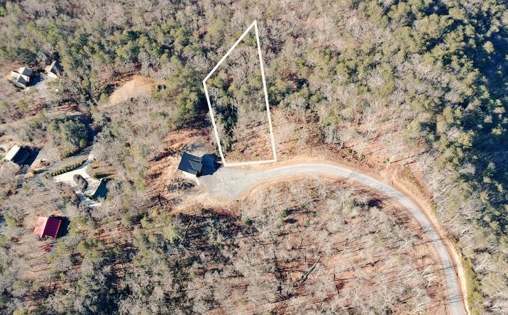 Pictures of Land property located at Lot 53 Mountain Laurel Ridge, Mineral Bluff, GA 30559 for sales - image #1
