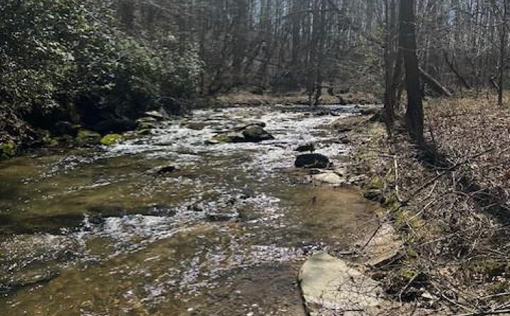 Pictures of Land property located at Lot 16 Bravo Way, Talking Rock, GA 30175 for sales - image #1