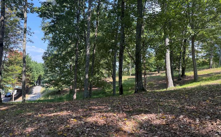 Pictures of Land property located at Madison Lane, Murphy, NC 28906 for sales - image #1
