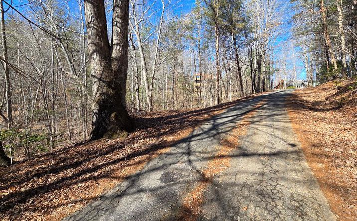 Lt 11 Mountain Laurel Est., Young Harris