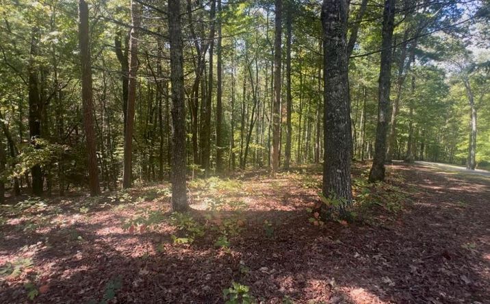 Pictures of Land property located at 1.81 AC Nature Valley Trail, Murphy, NC 28906 for sales - image #1