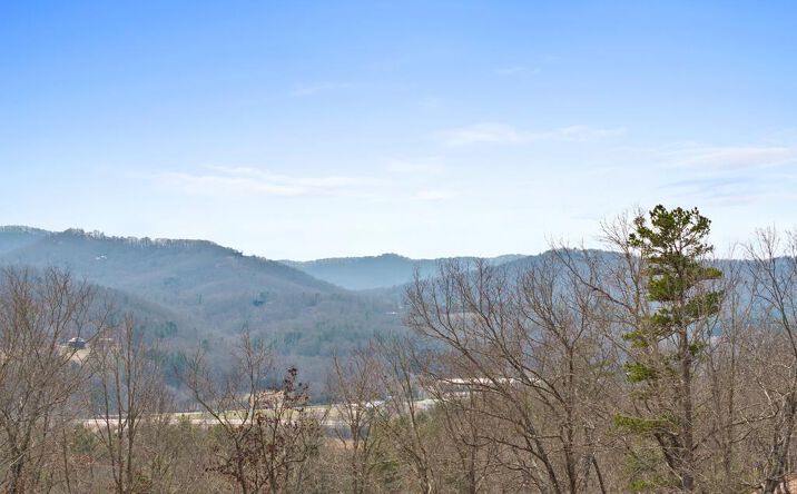 Pictures of Land property located at LOT 162 Ridges Of Blue Ridge, Morganton, GA 30560 for sales - image #1