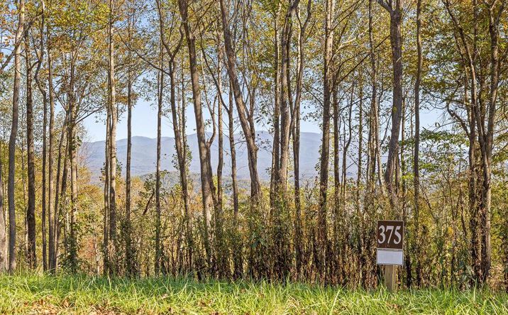 Pictures of Land property located at Lot 375 Calloway Mountain Road, Talking Rock, GA 30175 for sales - image #1