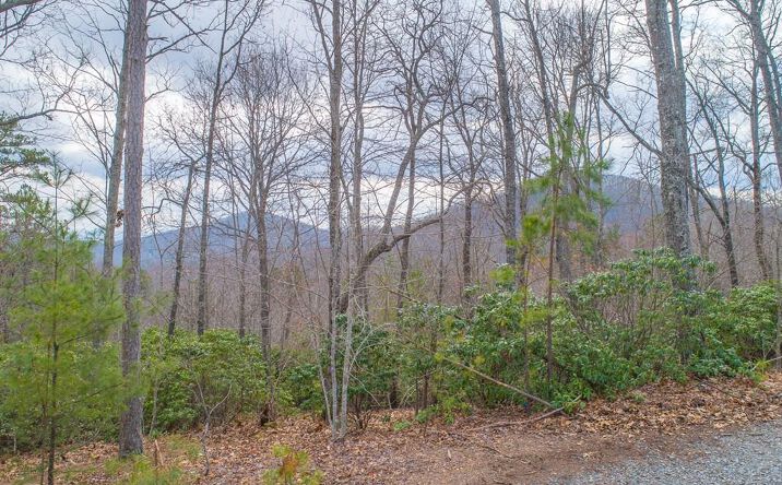 Pictures of Land property located at Lot 33 Laurel Brooke S/D, Blairsville, GA 30512 for sales - image #1