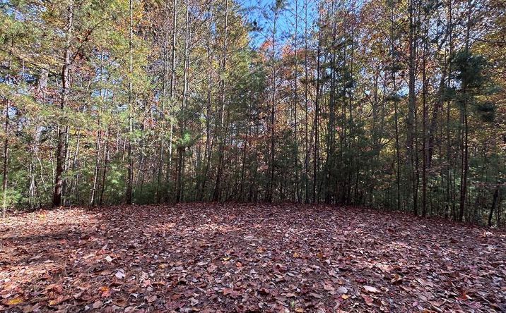 Pictures of Land property located at TBD Atoah Loop, Murphy, NC 28906 for sales - image #1