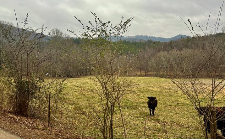 Pictures of Land property located at Hwy 68, Turtletown, TN 37391 for sales - image #1