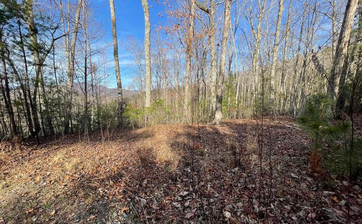 Pictures of Land property located at Lot 14 Big Cove Drive, Hiawassee, GA 30546 for sales - image #1