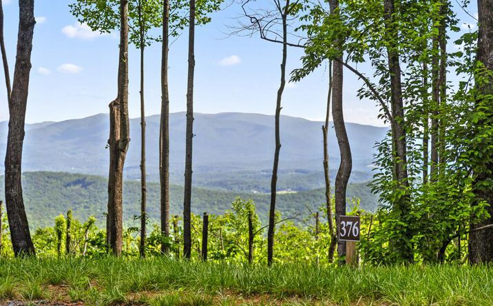 Pictures of Land property located at Lot 376 Calloway Mountain Road, Talking Rock, GA 30175 for sales - image #1