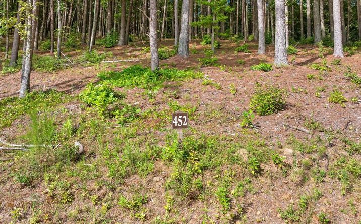 Pictures of Land property located at Lot 452 Woodward Way, Talking Rock, GA 30175 for sales - image #1