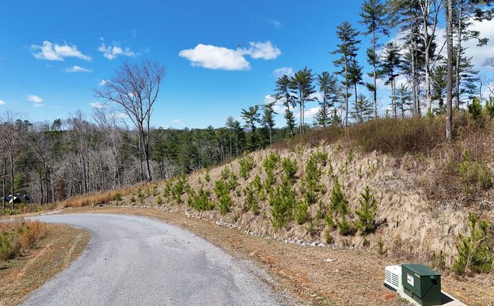 Pictures of Land property located at Lot 253 High River Crossing, Ellijay, GA 30540 for sales - image #1