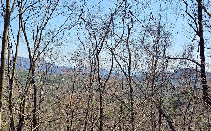 Pictures of Land property located at Lot 39 Merlin Trail/Warbler Road, Murphy, NC 28906 for sales - image #1