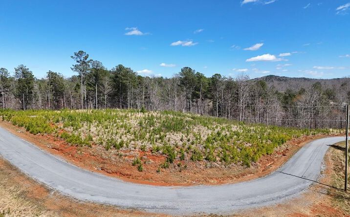 Pictures of Land property located at 155 Shallow Water Trail, Talking Rock, GA 30175 for sales - image #1