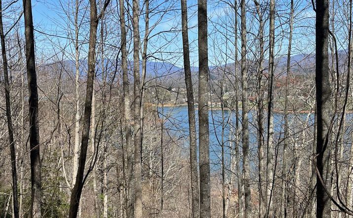 Pictures of Land property located at Tract 1 Brer Fox Ridge, Hiawassee, GA 30546 for sales - image #1