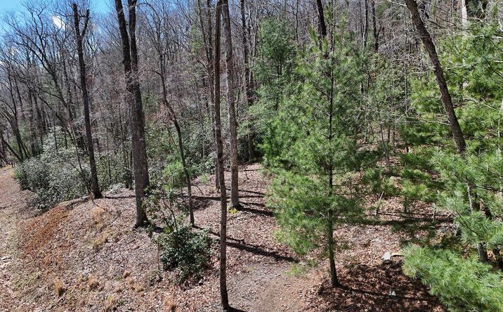 Lot 9 Native Trail, Blue Ridge