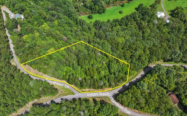 Pictures of Land property located at Lot 41 Tomahawk Lane, Mineral Bluff, GA 30559 for sales - image #1