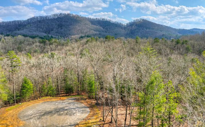 Pictures of Land property located at LT 13 Rocky Ridge, Mineral Bluff, GA 30559 for sales - image #1