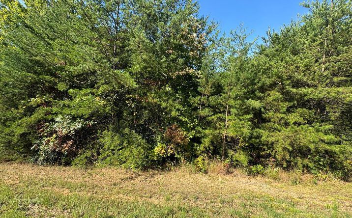 Pictures of Land property located at 115 Blackhawk Lane, Turtletown, TN 37391 for sales - image #1