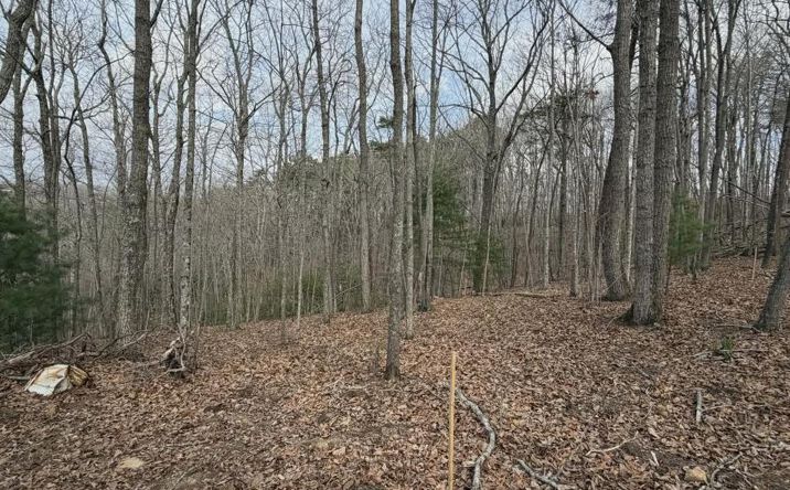 Tract B2 Mountain Ridge, Blue Ridge