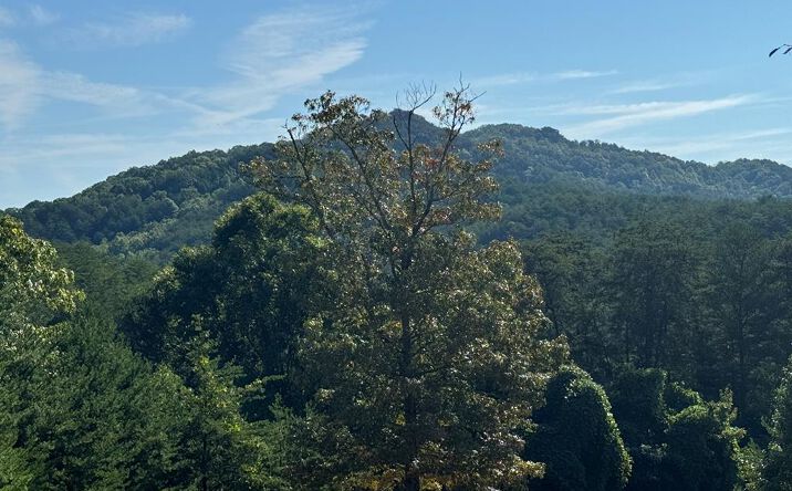 Pictures of Land property located at 130 Golden Eagle Circle, Turtletown, TN 37391 for sales - image #1