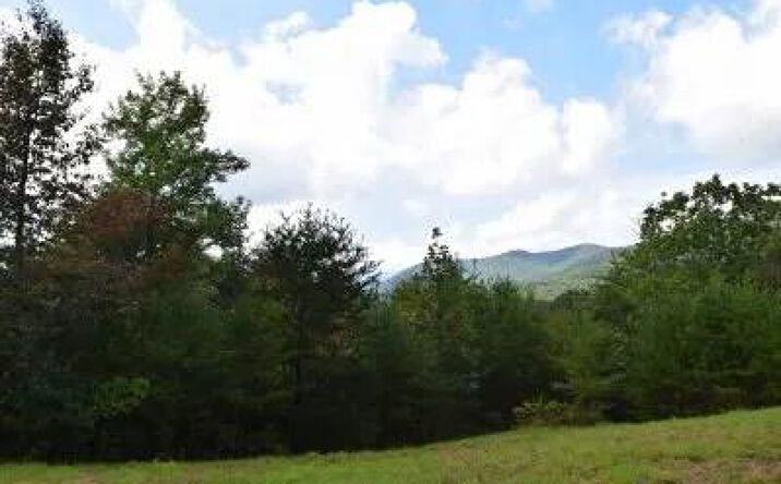 Pictures of Land property located at 114 Blackhawk Lane, Turtletown, TN 37391 for sales - image #1