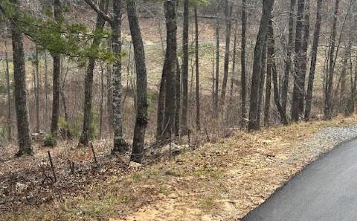 Pictures of Land property located at Lot 195 Trails End Way, Mineral Bluff, GA 30559 for sales - image #1