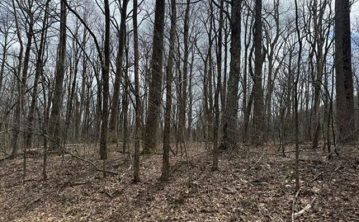 Pictures of Land property located at 220 St Andrews Way, Jasper, GA 30143 for sales - image #1