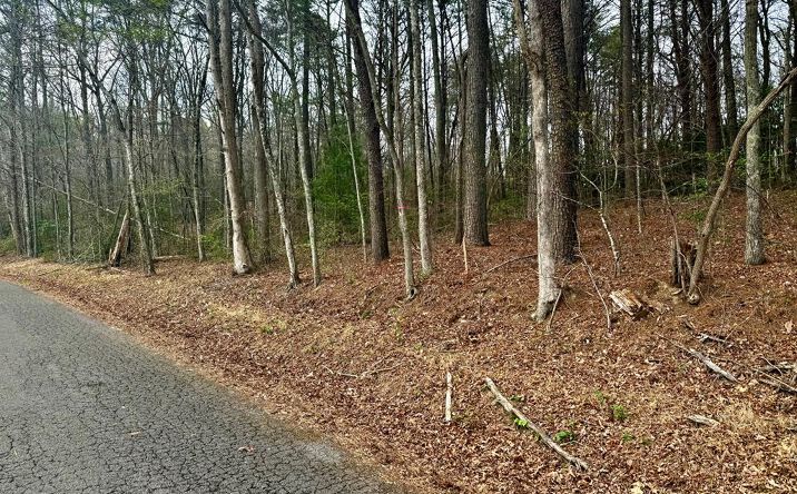 Pictures of Land property located at Nicholson Circle, Turtletown, TN 37391 for sales - image #1