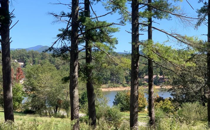 Pictures of Land property located at Lot 173 Highland Park, Blairsville, GA 30512 for sales - image #1