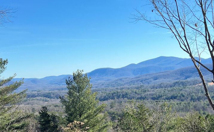 Pictures of Land property located at Lot 9 Summit Trace, Blairsville, GA 30512 for sales - image #1