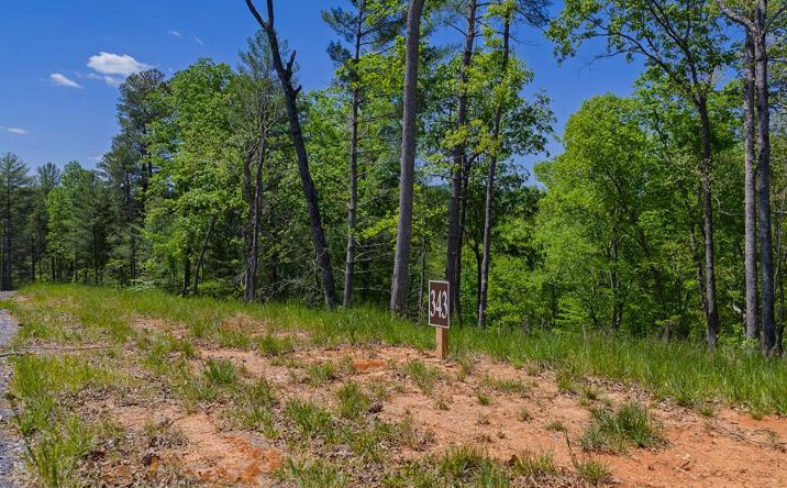 Pictures of Land property located at Lot 343 Shallow Branch Drive, Talking Rock, GA 30175 for sales - image #1