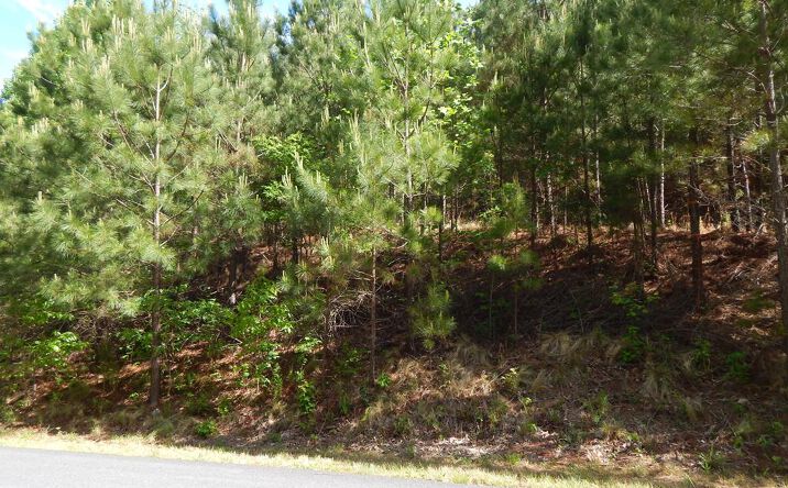 Pictures of Land property located at #361 The Cove At Thirteen Hundred, Blairsville, GA 30512 for sales - image #1
