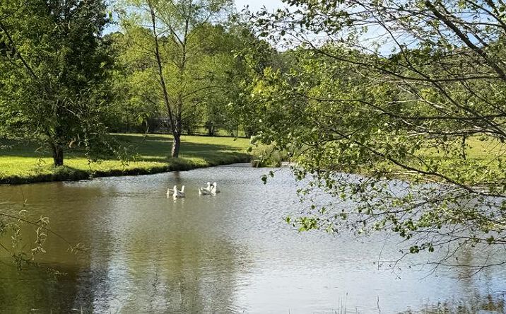 Pictures of Land property located at Barnett Road, Murphy, NC 28906 for sales - image #1