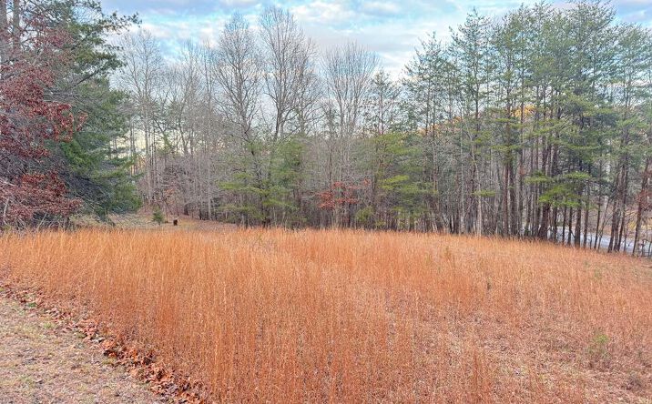 Lot 6 Twin Mountain Road, Hiawassee