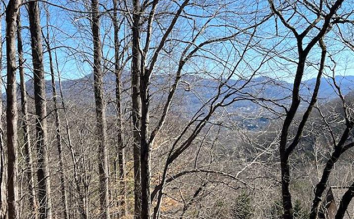 Pictures of Land property located at Lot 31 Hidden Summit Road, Hiawassee, GA 30546 for sales - image #1