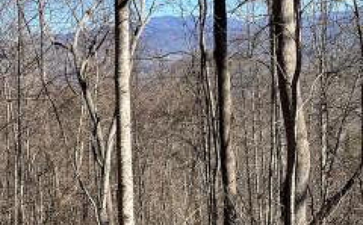 Pictures of Land property located at Lot 29 Hidden Summit Road, Hiawassee, GA 30546 for sales - image #1