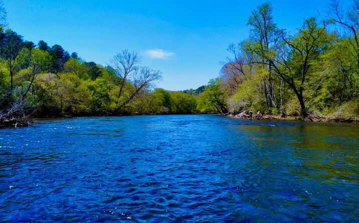 Pictures of Land property located at Toccoa River Forest, Mineral Bluff, GA 30559 for sales - image #1