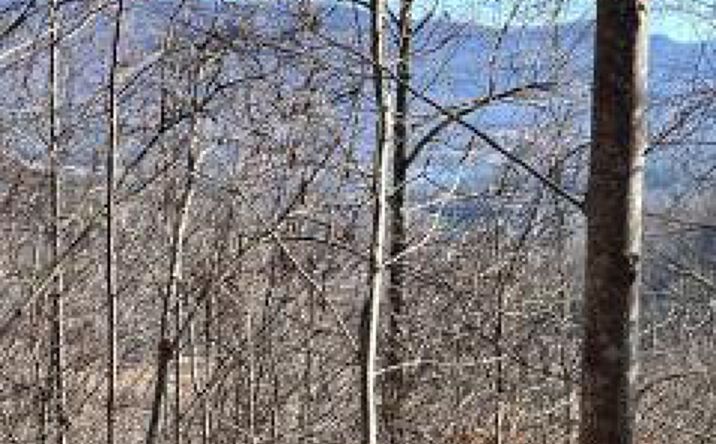 Pictures of Land property located at Lot 30 Hidden Summit Road, Hiawassee, GA 30546 for sales - image #1