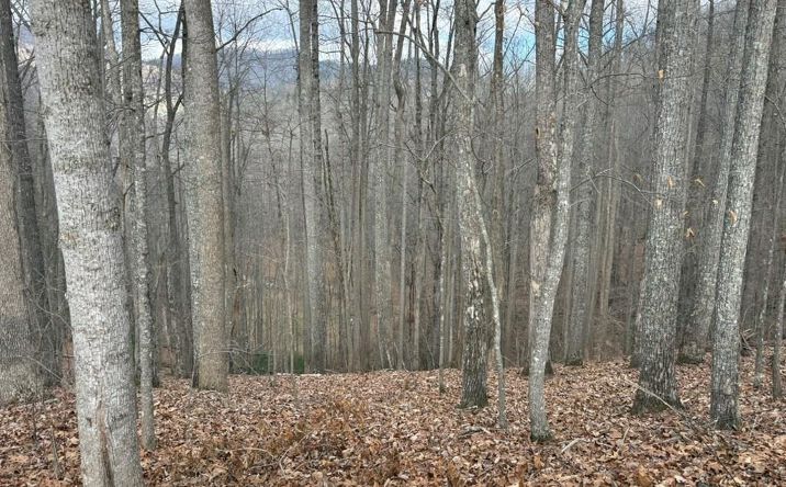 Pictures of Land property located at TRACT 3 Doc Thomas Ridge Road, Blairsville, GA 30512 for sales - image #1