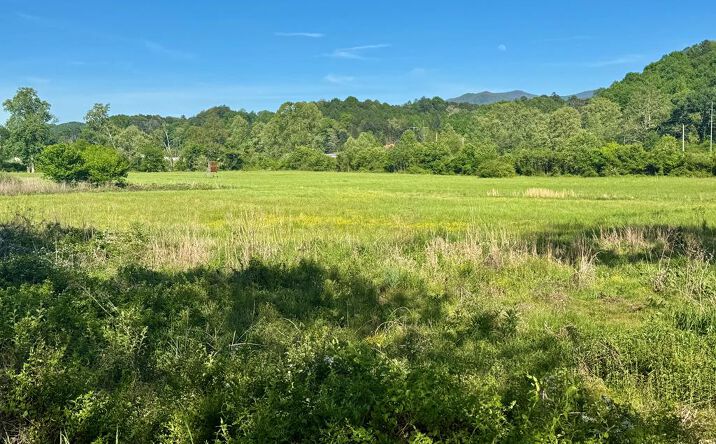 Pictures of Land property located at Tomotla Road, Marble, NC 28905 for sales - image #1