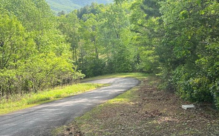Pictures of Land property located at 15/15A Highlands@high Tower, Hiawassee, GA 30546 for sales - image #1