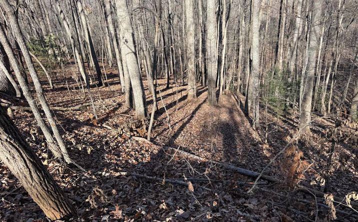 Pictures of Land property located at LOT 2 Doc Thomas Ridge Road, Blairsville, GA 30512 for sales - image #1