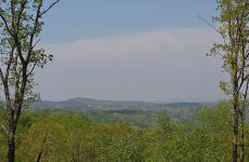 32874517