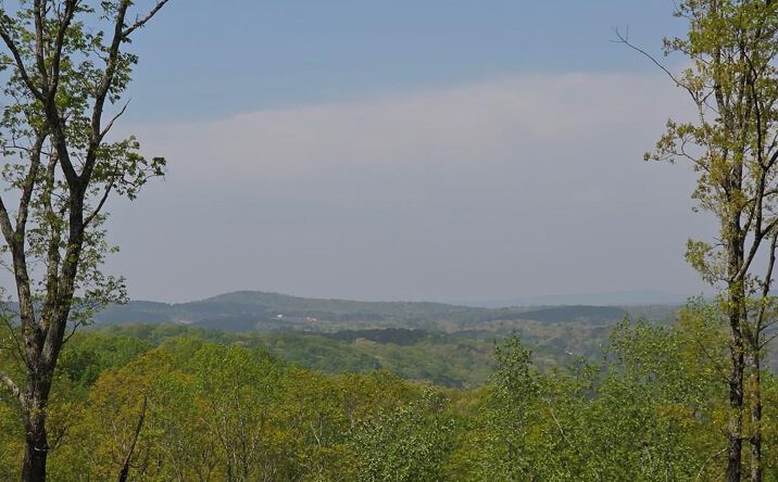 Pictures of Land property located at Lot 105 Twisted Oak Road, Talking Rock, GA 30175 for sales - image #1