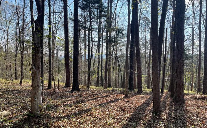 Pictures of Land property located at Lot 12 Chalcrest Way, Cave Spring, GA 30124 for sales - image #1