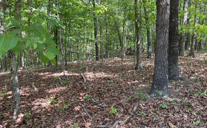 Pictures of Land property located at Lots 2&3 Chalcrest Way, Cave Spring, GA 30124 for sales - image #1