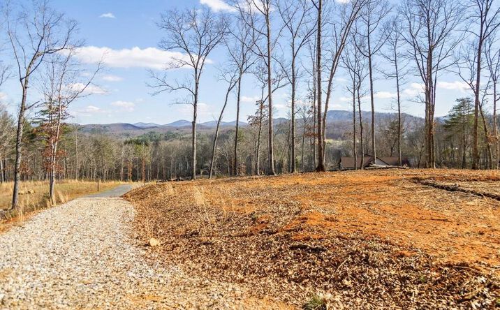 Pictures of Land property located at Lot 85 Split Creek Road, Morganton, GA 30560 for sales - image #1
