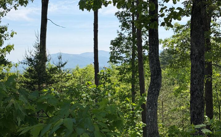 Pictures of Land property located at LOT 31 Summit View Lane, Ellijay, GA 30540 for sales - image #1