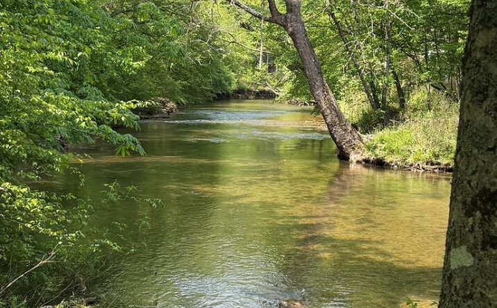 Pictures of Land property located at 9.8 AC Brown Mountain Road, Suches, GA 30572 for sales - image #1