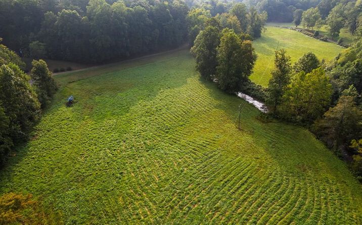 Pictures of Land property located at 228 Holly Branch Drive, Ellijay, GA 30540 for sales - image #1