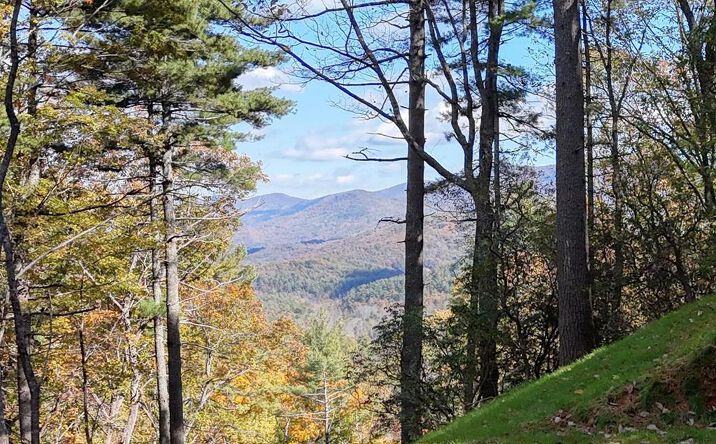 Pictures of Land property located at Lot 8 Cindy Cove, Blairsville, GA 30512 for sales - image #1